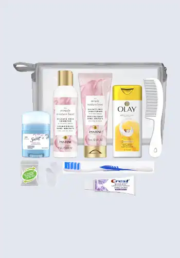 A compact travel toiletry kit with essential travel-sized items, designed for convenient use and freshness while flying.