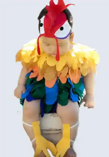 An adorable Hei Hei costume for babies, featuring colorful feathers and a comfortable fit, perfect for a Moana-themed Halloween.