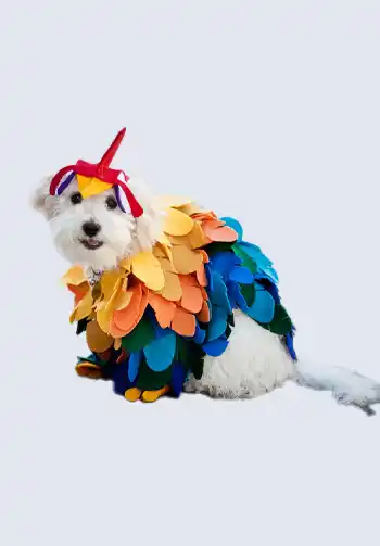 An adorable Hei Hei costume for dogs, featuring colorful feathers and a comfortable fit, perfect for a Moana-themed Halloween.