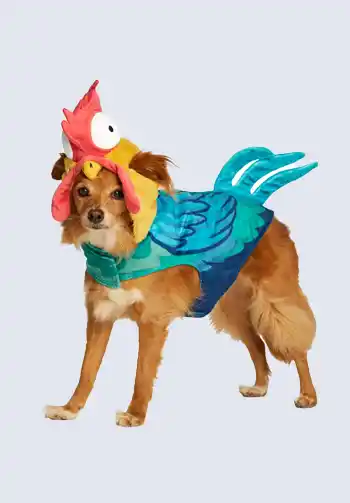 A charming Hei Hei costume for pets, complete with vibrant feathers and a fun design, ideal for including your furry friend in a Moana-themed Halloween celebration.