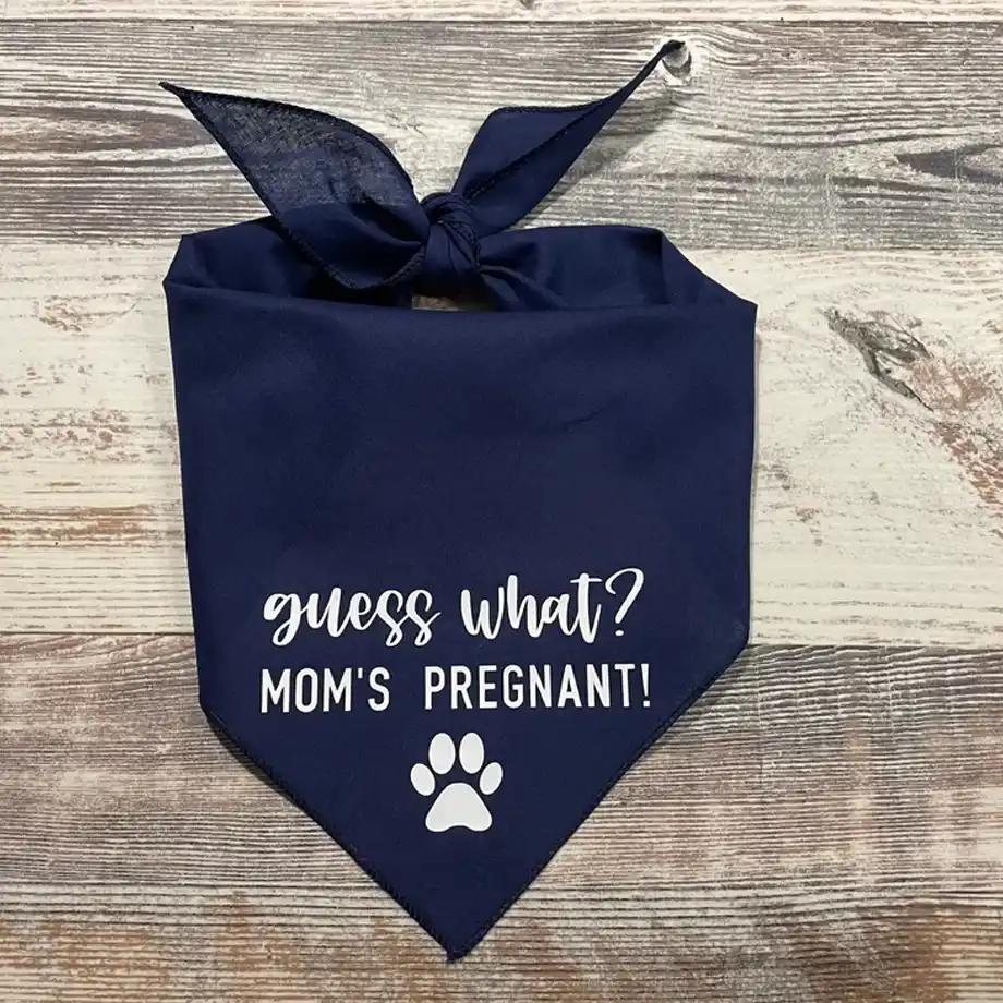 Reveal your pregnancy with a playful twist using this "Guess What, Mom's Pregnant" announcement. A fun and engaging way to share your big news, perfect for those looking for creative pregnancy announcement ideas.