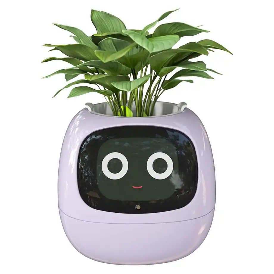 Innovative smart flowerpot with LED lighting and environmental sensors, a stylish and practical desk accessory to pair with birthday wishes for a coworker.