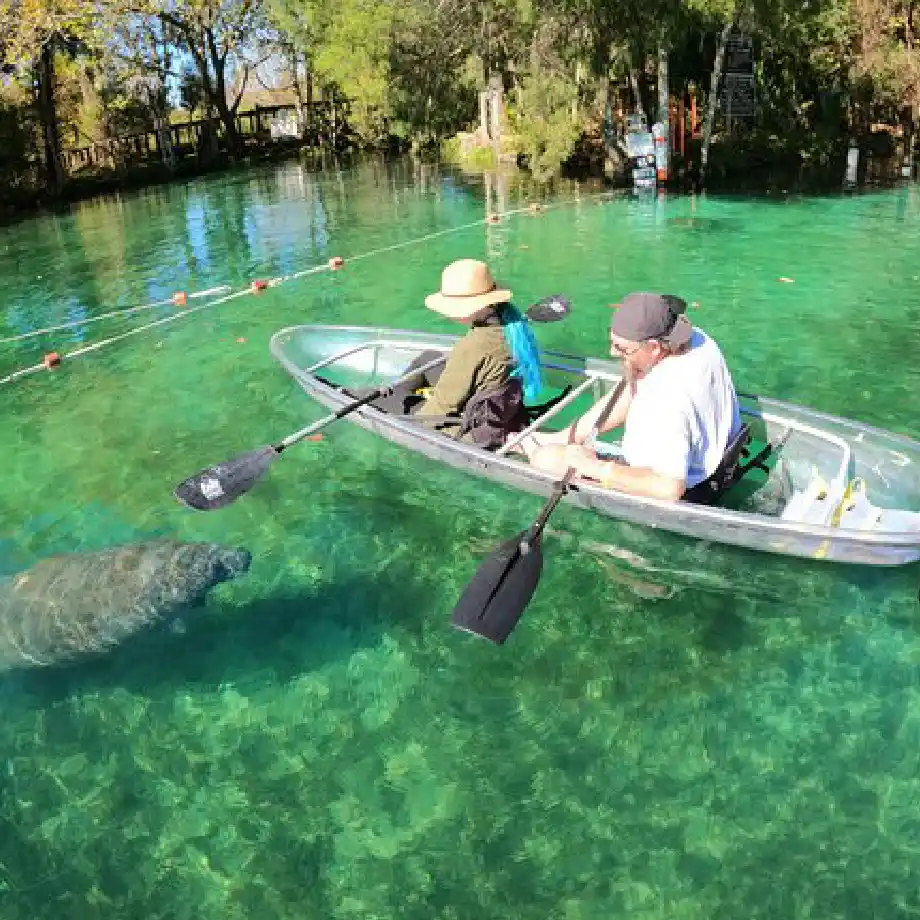 Couple kayaking in a clear boat, exploring serene waters and marine life—unique first date ideas outdoors.