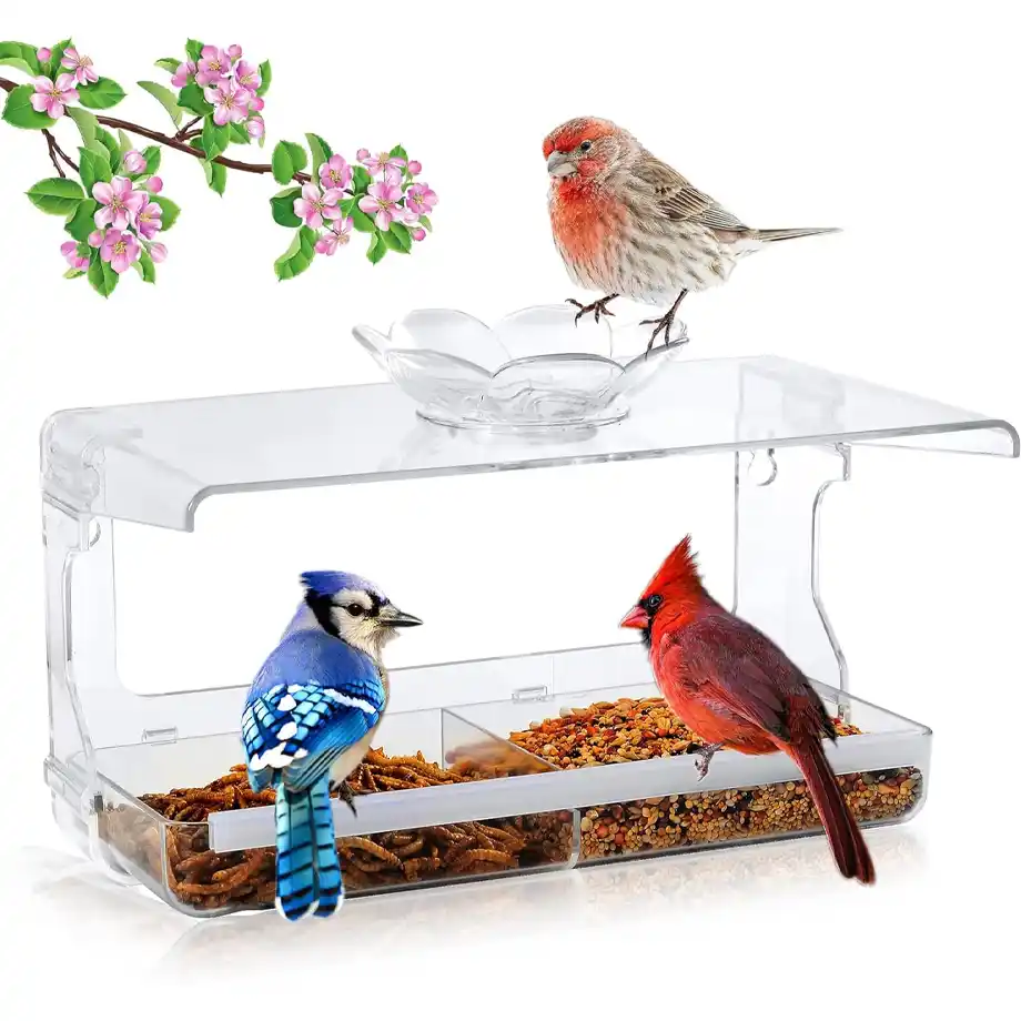 This transparent window bird feeder with self-adhesive hooks offers up-close bird watching, making it a perfect gift for nature lovers and a thoughtful choice for white elephant gift ideas.