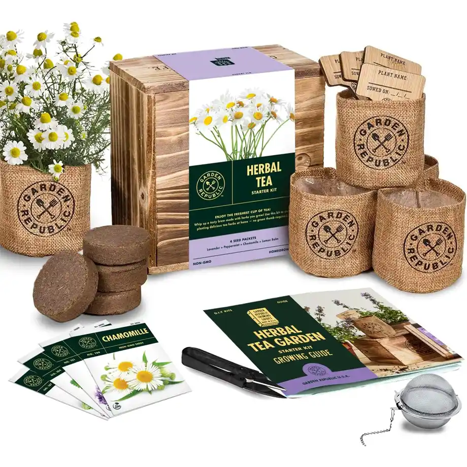 This herbal tea growing kit includes seeds, soil, pots, and a tea infuser, making it a perfect choice for plant lovers and a thoughtful white elephant gift idea.